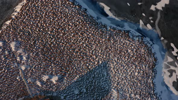 Drone Over Snow Covered Beach Towards Frozen Lake