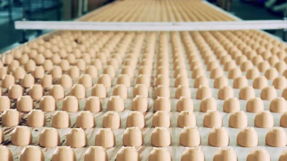 Factory Conveyor with Plenty of Freshlymade Candies