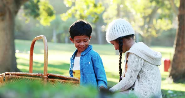 Boy and girl sitting on grass with picnic basket