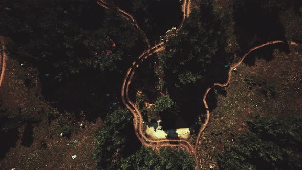 Aerial View of the Road Through the Forest