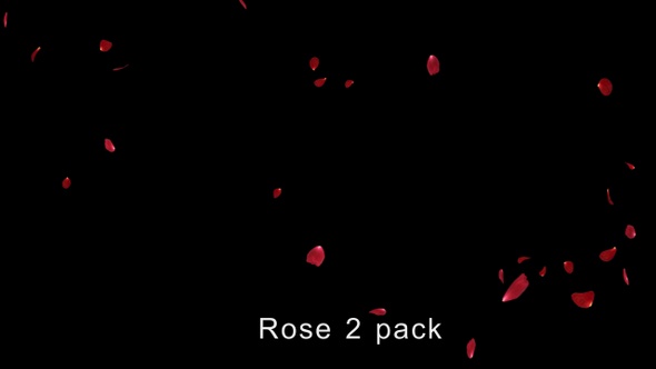 Rose 2 Pack