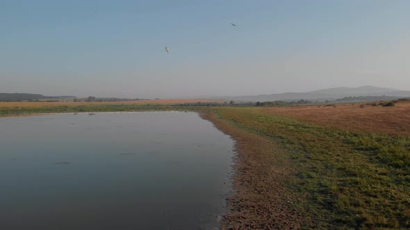 Landscape with Marshland and Fields on Blue Sky Background