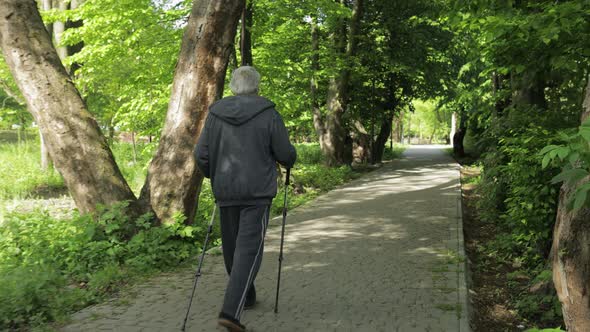 Active Senior Old Man Training Nordic Walking with Ski Trekking Poles in Park