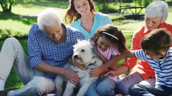 Multi-generation family playing with their dog in the park