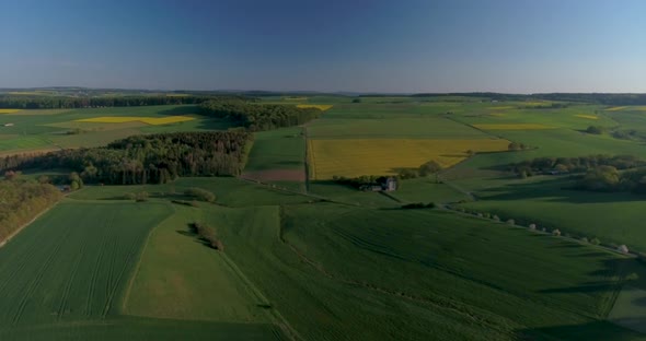 Drone flight over yellow and green fields.