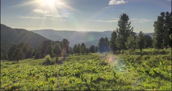 Mountain Meadow Timelapse