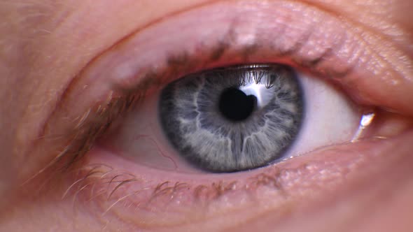 Human Eye Close Up. Macro Female Eye
