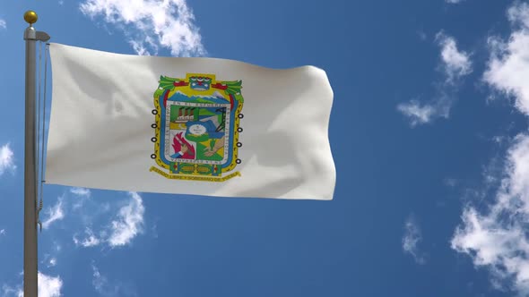 Puebla Flag (Mexico) On Flagpole