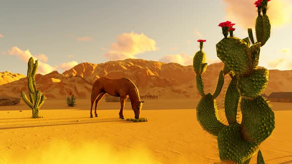 Desert Horse