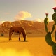 Desert Horse - VideoHive Item for Sale