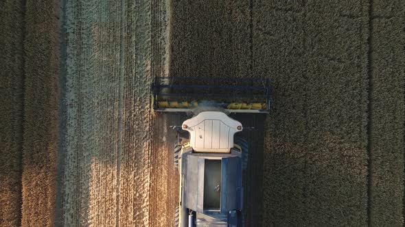 Harvester Combine Working in the Field