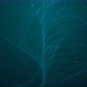 Amazing Cyan Color New Digital Particle Line Animated Background - VideoHive Item for Sale