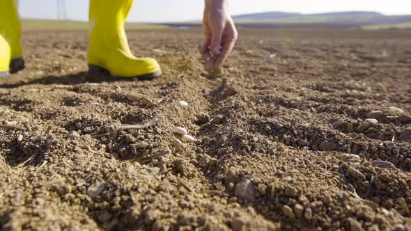 The farmer is sowing seeds in the field.