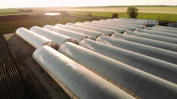 Greenhouse at a Beautiful Sunset