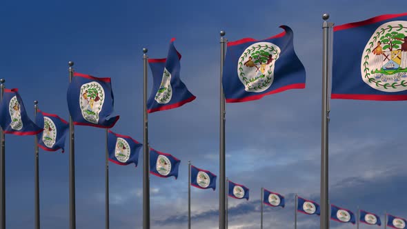 The Belize Flags Waving In The Wind  - 4K