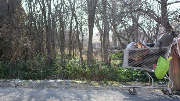 Homeless man pushing cart down the road with dog following him