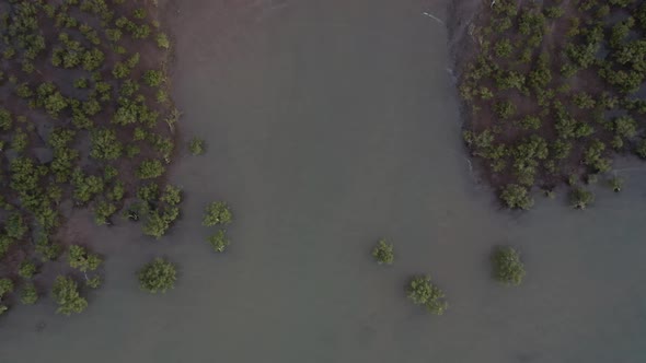 Sunset Dusk over Mangrove Trees, Maitland Lookout, Karratha, Western Australia 4K Aerial Drone