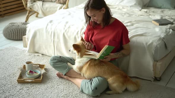 Woman Petting Dog on Her Knees While Educating Reading Book Avki