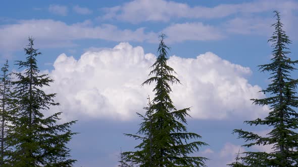 Cumulus Clouds Timelapse