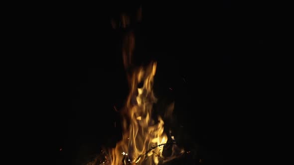 Camp Fire