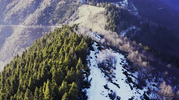 Foggy Mountain Forest Aerial with Ice Frost Covered Trees in Winter Drone Flight Establisher. Winter