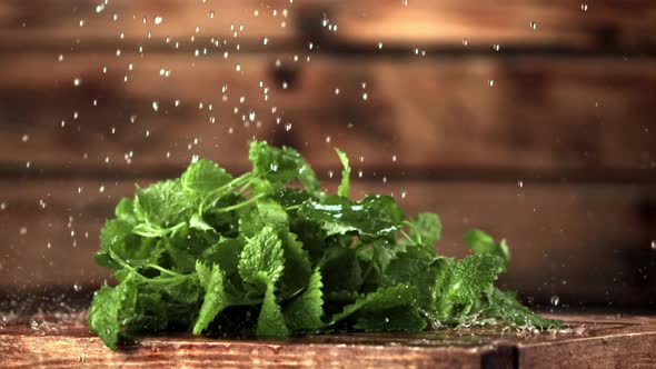 Super Slow Motion Water Droplets Fall on Mint Leaves