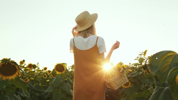 A Woman is Walking Through a Field of Sunflowers with a Basket of Flowers in Her Hands