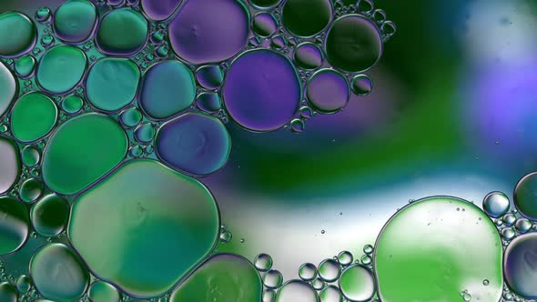 Abstract Colorful Food Oil Drops Bubbles 133