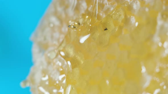 Close Up View of Beeswax Honeycomb Poured Over with Honey