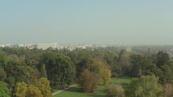 Beautiful flight over the park in summer. Trees with green leaves