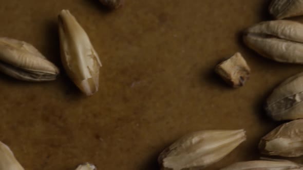 Rotating shot of barley and other beer brewing ingredients 