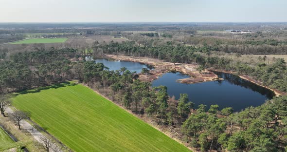 Aerial view of lakes and wet forest, Molenven, Twente, Overijssel, Netherlands.