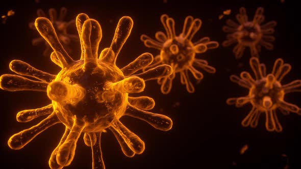 SARS-CoV-2 Virions With Spikes On The Outer Edge alt