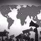 Protesters Worldwide - VideoHive Item for Sale