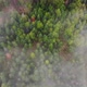 Flying over a forest looking through the clouds - VideoHive Item for Sale