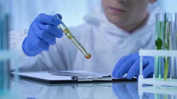 Biologist Observing Plant in Test Tube, Writing Information About Growth Changes