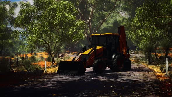 Excavator Tractor in Bush Forest