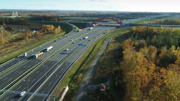 Highway on Sunset - Forest Surrounding