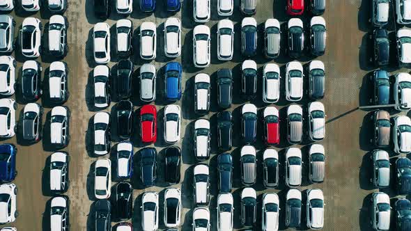 Factory Parking Area with New Cars in a View From Above