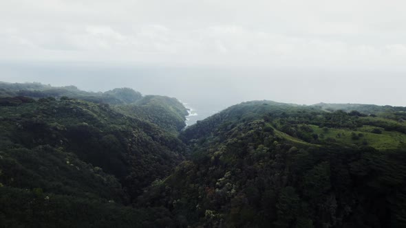 Green valley in Hawaii with drone flying towards the ocean. There is also mist and haze hovering abo