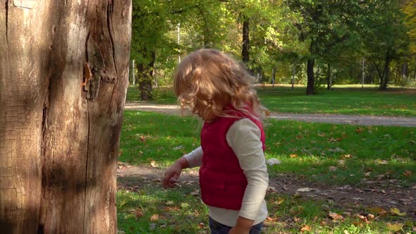 Cute Little Girl Walks in the Autumn Forest with a Tree