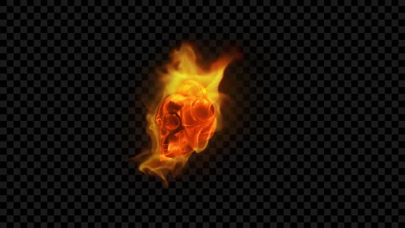 Burning Skull - Fire DJ Show 3