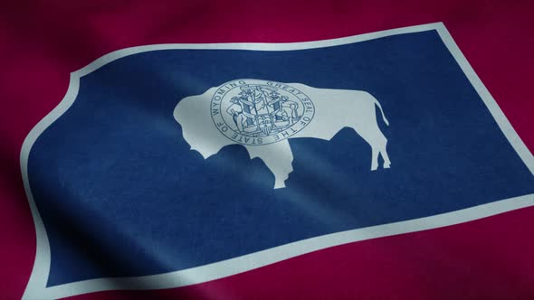 State Flag of Wyoming Waving in the Wind