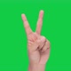 HAND (Green Sceen) hand signal - v sign for victory or peace sign - VideoHive Item for Sale