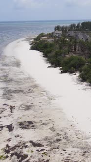 Tanzania  Vertical Video of Low Tide in the Ocean Near the Coast of Zanzibar Slow Motion