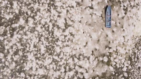 Vertical Video of Low Tide in the Ocean Near the Coast of Zanzibar Tanzania Aerial View