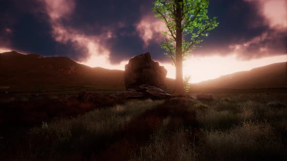 Aerial Green Hills Landscape in Fog alt