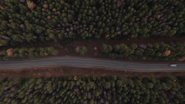 Road with cars between deep green forest in Ural