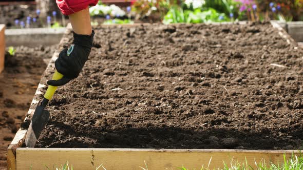 Gardener Make Rows in Soil Before Planting