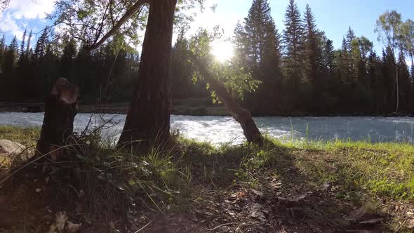 Meadow at Mountain River Bank